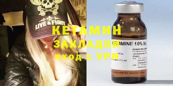 шишки Аркадак