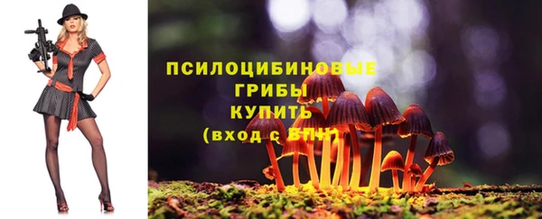 прущие крисы Армянск