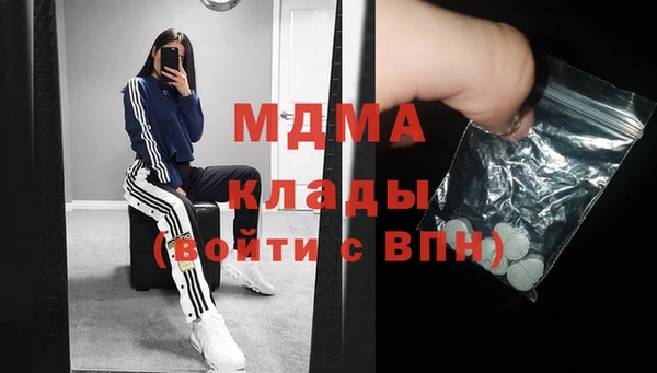 шишки Аркадак