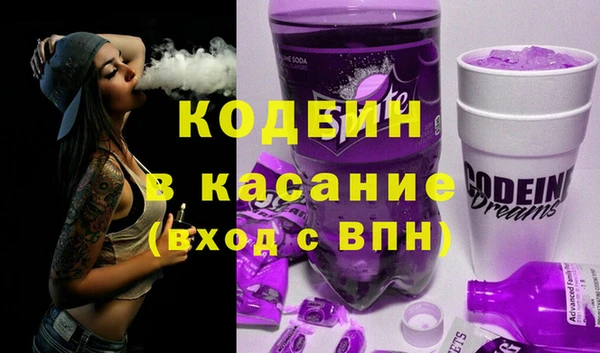шишки Аркадак