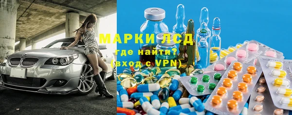 шишки Аркадак