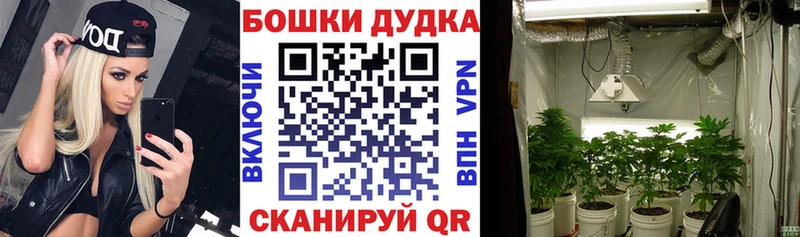 Бошки марихуана конопля Баймак